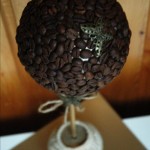 How to make homemade coffee tree
