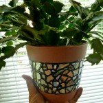 How to DIY mosaic for flower pot