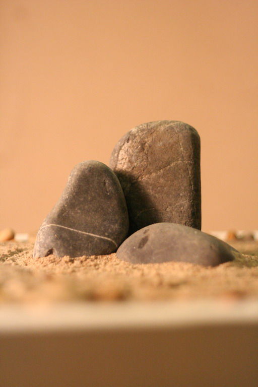 Unique craft ideas: DIY rock garden – DIY is FUN